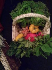 Petit marché de producteurs bio au Boucl'art