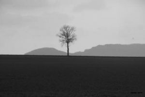 Lorraine à l'âme, pays sages