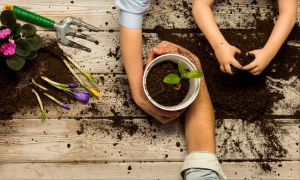 Atelier jardinage pour les enfants