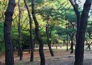 + TTT : Tourcoing-Taipei-Tokyo  