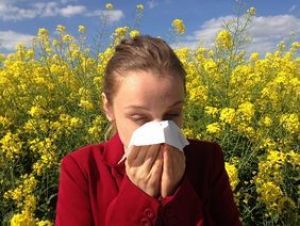 Les enjeux de la qualité de l'air en matière de santé
