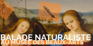 Visites guidée Balade naturaliste au Musée des Beaux-Arts