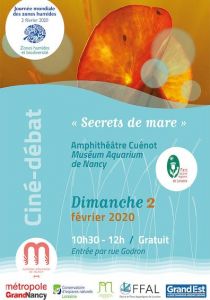 Secrets de mare