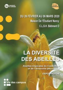 Biodiversité des abeilles