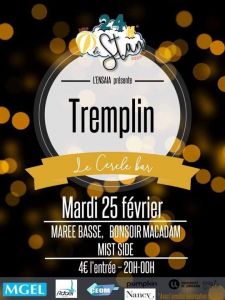 Tremplin 24h  de stan 2020