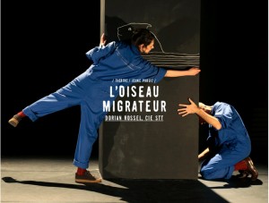 L'oiseau migrateur