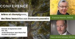 Arbres et champignons, des etre immobiles aux pouvoirs étonnants