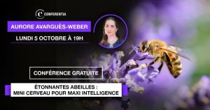 Étonnantes abeilles avec Aurore Avarguès-Weber