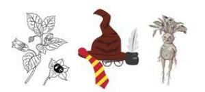 Harry potter au jardin Pelt