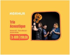 Trio acoustique