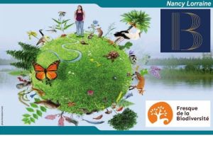 fresque de la biodiversite