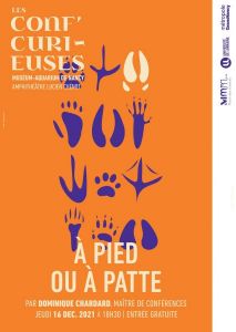 Conf'curieuse - A pied ou a pattes