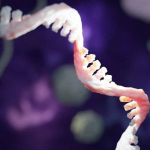 Biomolécules et métal, une question d’affinité