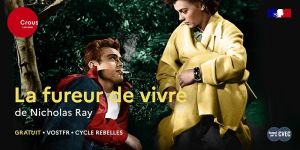 La fureur de vivre