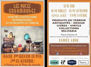Les puces gourmandes
