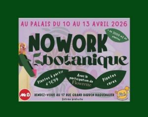 No Work Botanique #2 