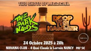 Drop The Hammer & The Dark Noïds - NIRVANA