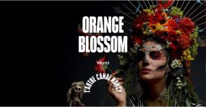 Orange Blossom
