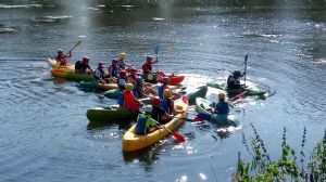 Kayak & Paddle