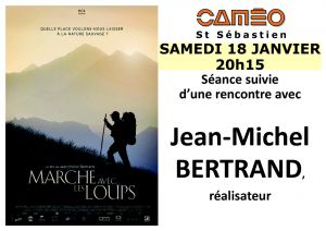 Marche avec les loups