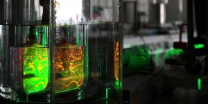 Réconcilier santé, environnement et industrie (visite de laboratoire)