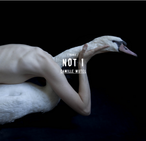 Not 1 - Camille MUTEL