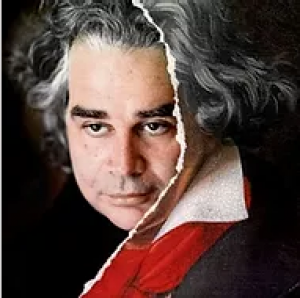 looking for bethoven