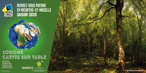 Découverte de la Sylvothérapie