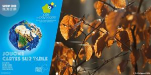 Bricolge nature d'automne