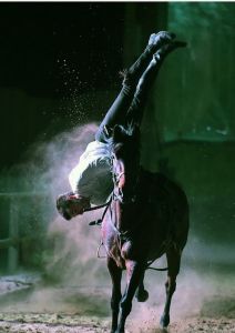 Course et show équestre
