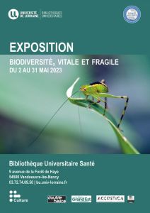 Biodiversité vitale et fragile" à la BU Santé