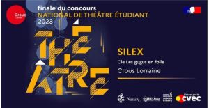 Silex - Crous Lorraine