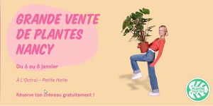 Grande vente de plantes