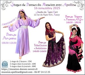 Stages de danses du Museion Apolline : DANSES PERSANE, Tribal fusion et Tzigane