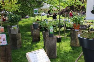 Nature en fête 