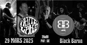 HITE LAKE en concert Rock 70' 