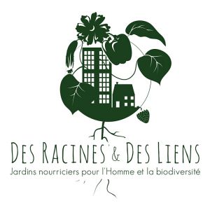 des racines et des liens