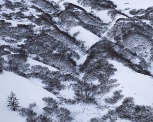 la neige rend aveugle.jpg