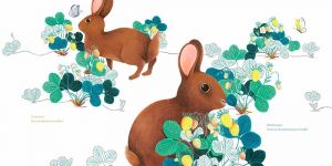 Lapin