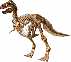 trex.png