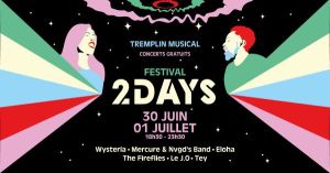 Festival 2 days