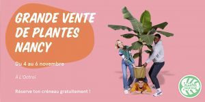 Vente de plantes