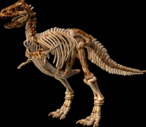 trex.png
