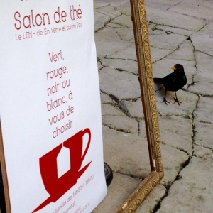 Salon de thé du LEM