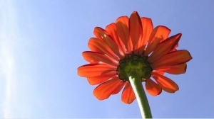 Rendez vous aux Jardins 2022