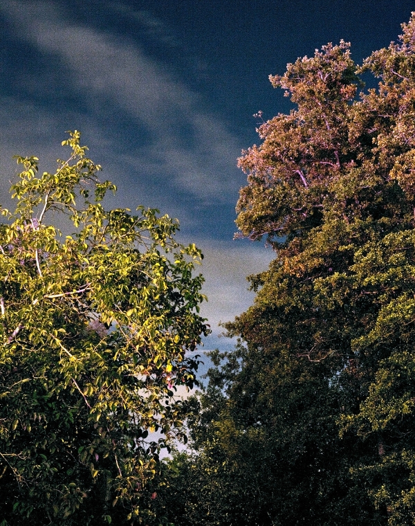 Le CRI des Lumières - Carrefour du Regard et de l'Image - Lunéville