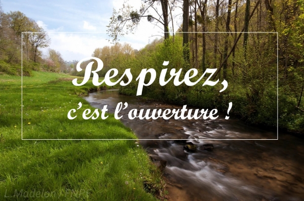 Ouverture de la pêche à la truite