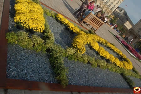 Jardins éphémères édition 2009