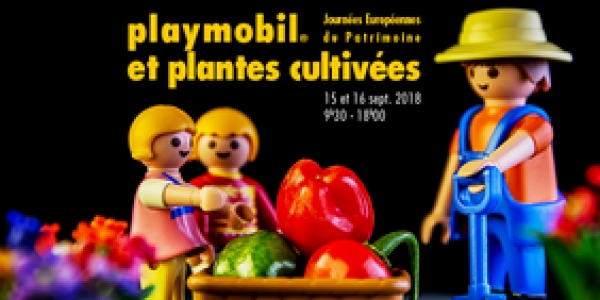 Jeu Playmobil® et botanique !