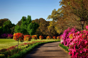 Rendez vous aux jardins, édition 2024